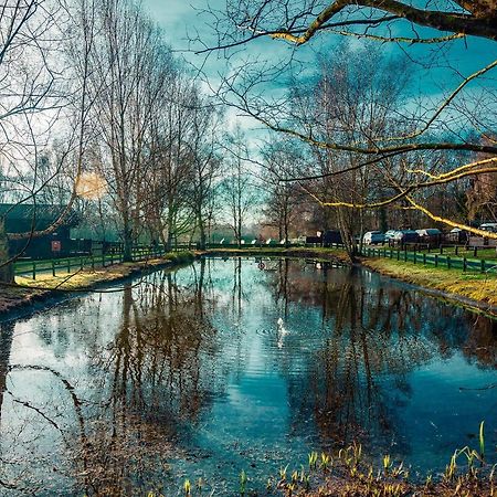 Sherwood Castle Holiday Forest Hotel Edwinstowe Eksteriør billede