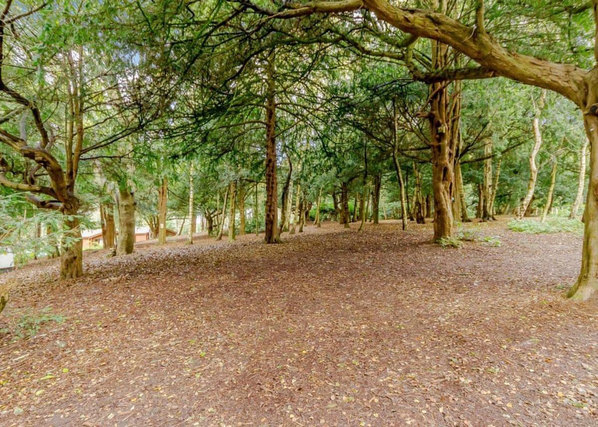 Sherwood Castle Holiday Forest Hotel Edwinstowe Eksteriør billede