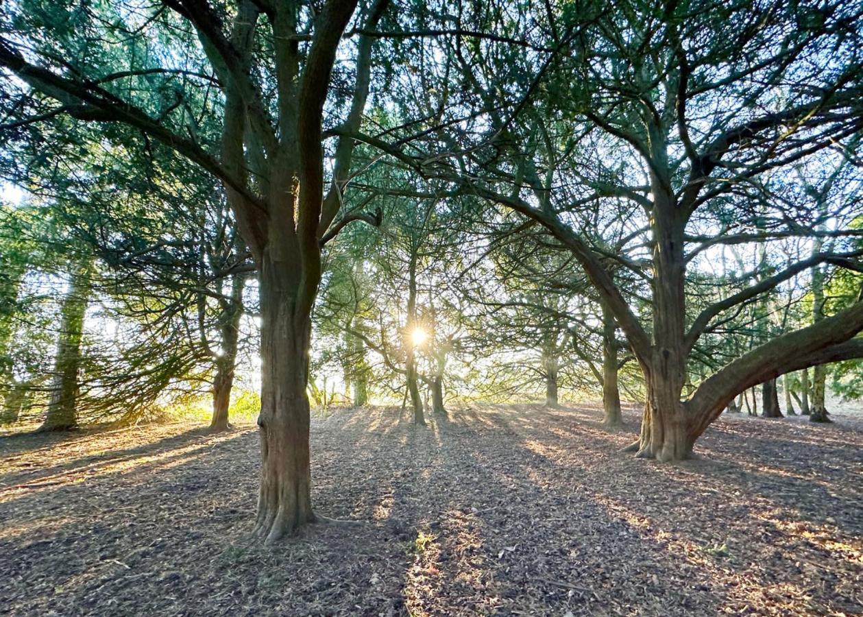 Sherwood Castle Holiday Forest Hotel Edwinstowe Eksteriør billede